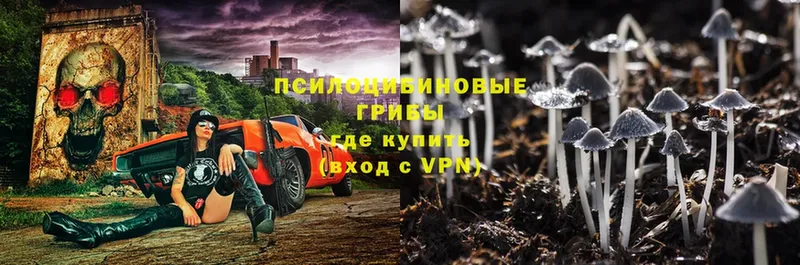 Псилоцибиновые грибы прущие грибы  Гусев 